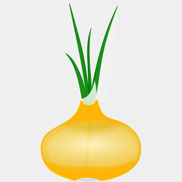 Onion 1 Thumbnail