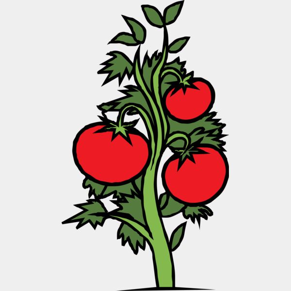 Tomato Plant Thumbnail