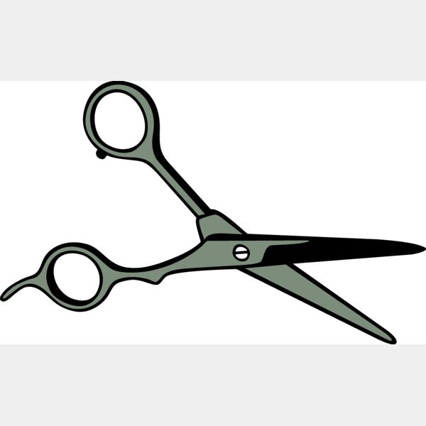 scssrsP02 eps Thumbnail