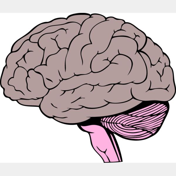 BrainC001 eps Thumbnail