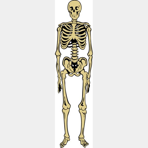 Skeletonj020 eps Thumbnail