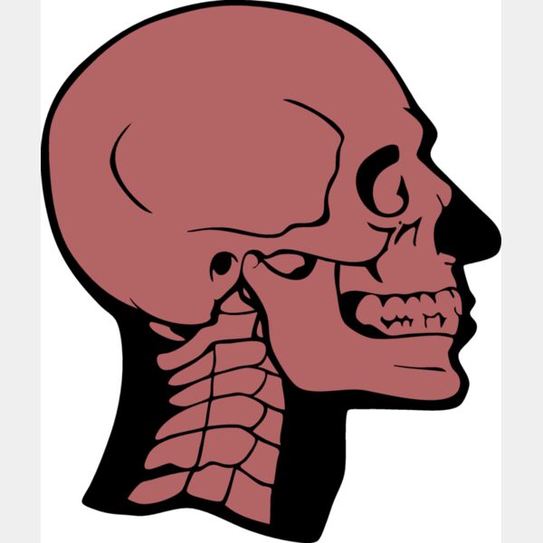 skullD02 eps Thumbnail