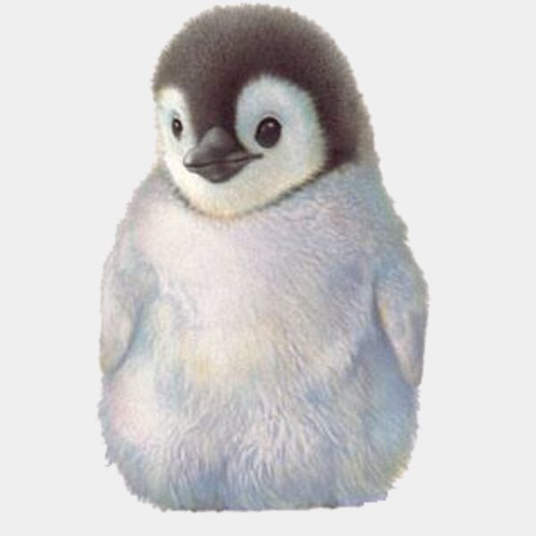 Baby Penguin Thumbnail
