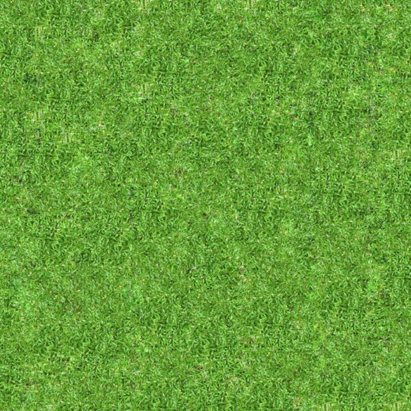 Grass 1 Thumbnail