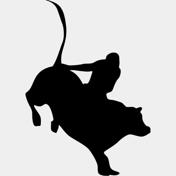 Bull Rider3 Thumbnail