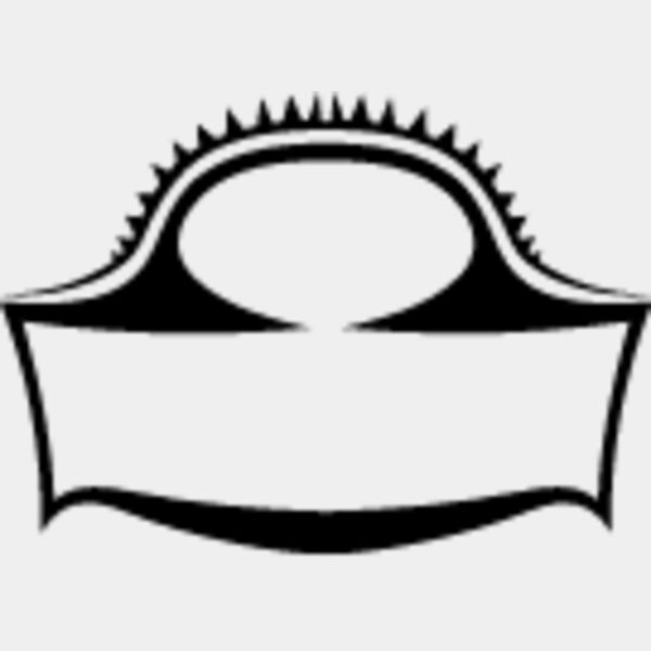 Open Shield2 Thumbnail