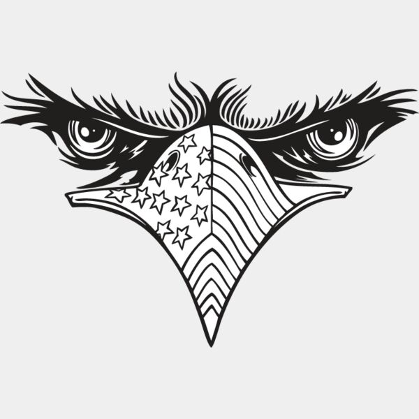 USA Eagle2 Thumbnail