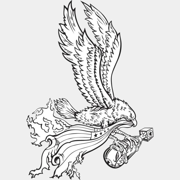 USA Eagle3 Thumbnail