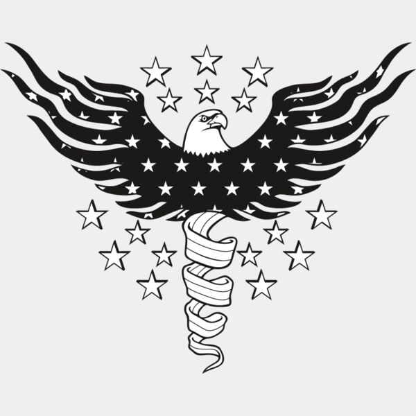 USA Eagle11 Thumbnail