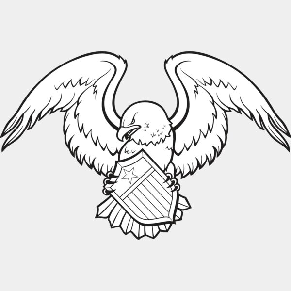USA Eagle10 Thumbnail