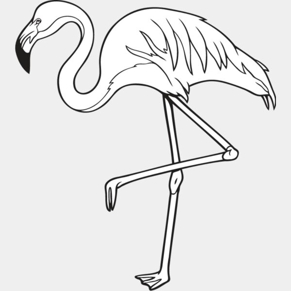 Flamingo Thumbnail