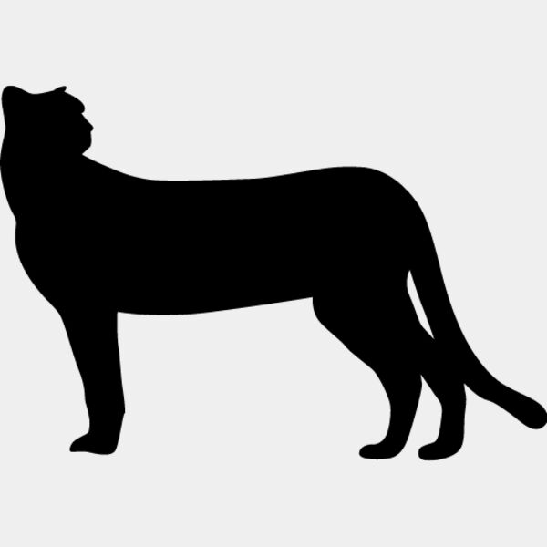 Big Cat  Tiger  Lion  Panther 25 Thumbnail