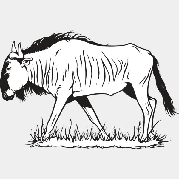 Wildebeest Thumbnail