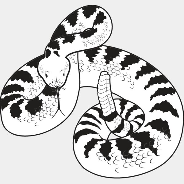 Rattlesnake Thumbnail