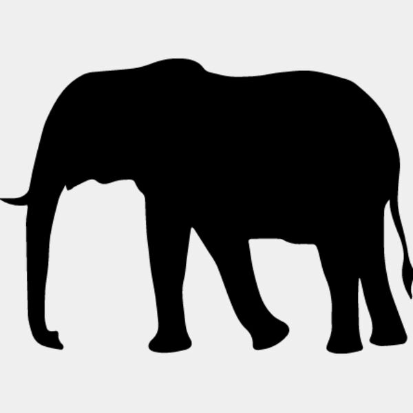 Elephant5 Thumbnail