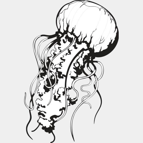 Jellyfish1 Thumbnail