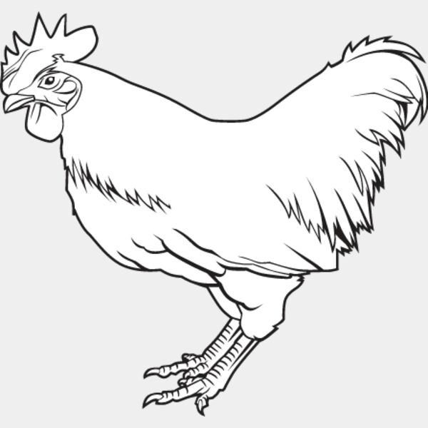 Chicken2 Thumbnail