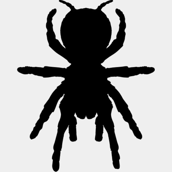 Spider Silhouette16 Thumbnail