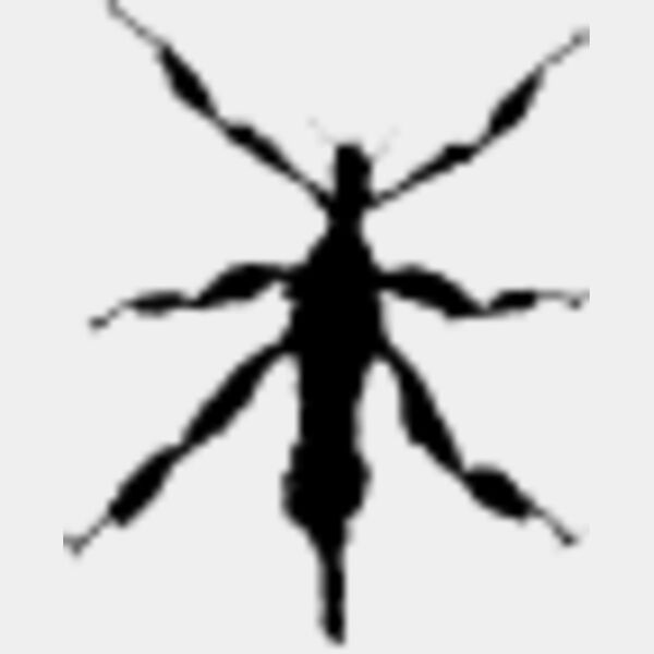 Walking Insect11 Thumbnail