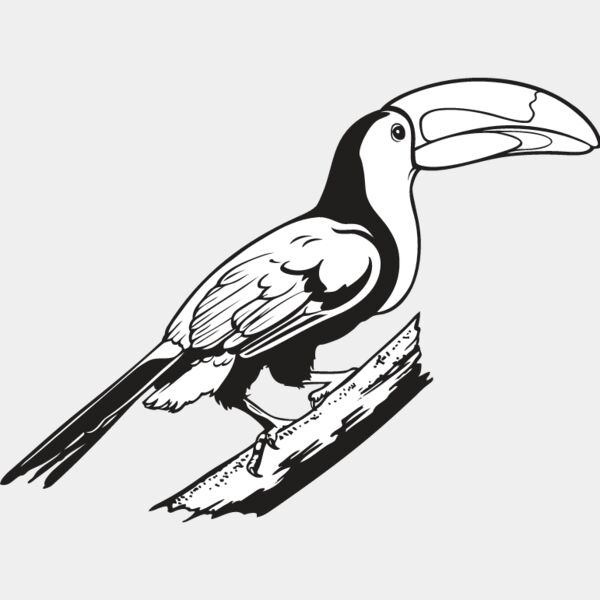 Toucan2 Thumbnail