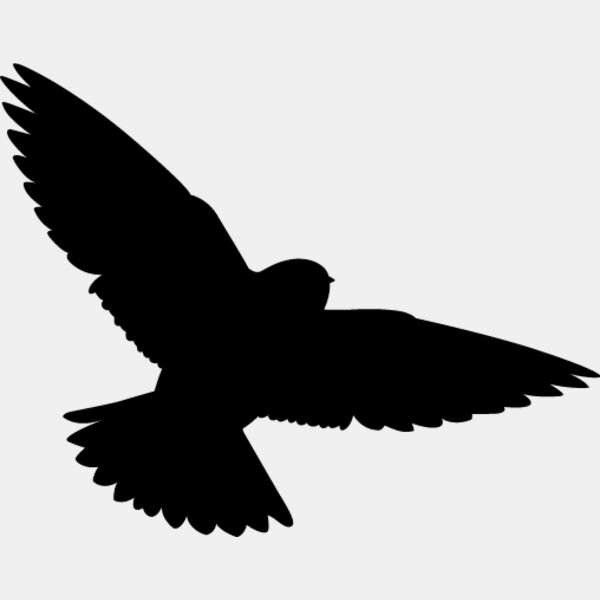 Bird Silhouette11 Thumbnail