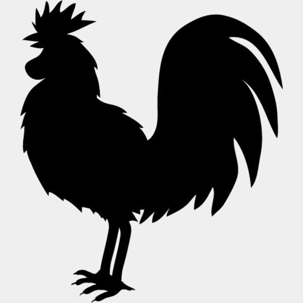 Rooster10 Thumbnail