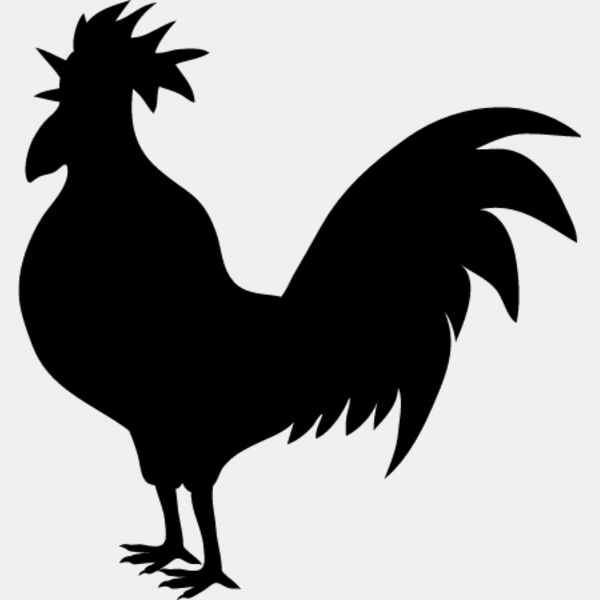 Rooster8 Thumbnail