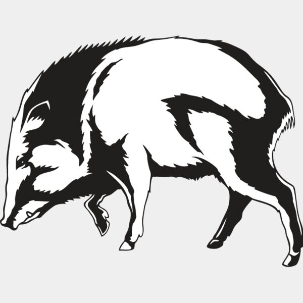 Wild Boar2 Thumbnail