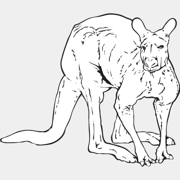 Kangaroo1 Thumbnail