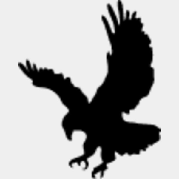 Flying Eagle Silhouette6 Thumbnail