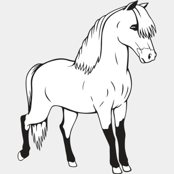 Miniature Horse2 Thumbnail