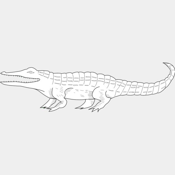 Crocodile3 Thumbnail