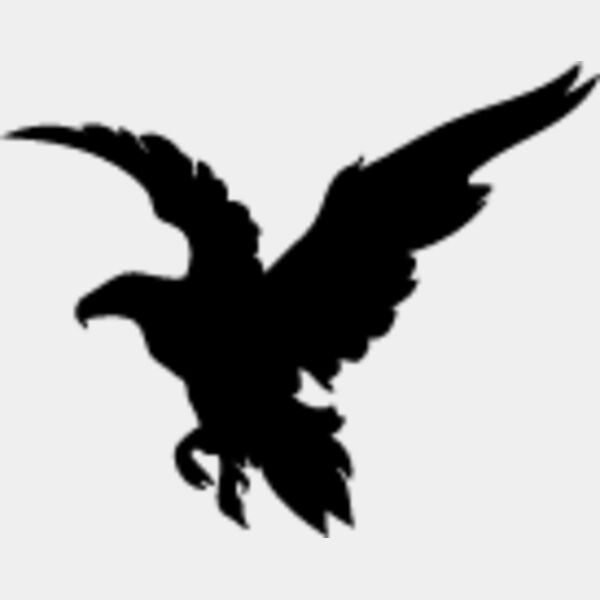 Flying Eagle Silhouette7 Thumbnail