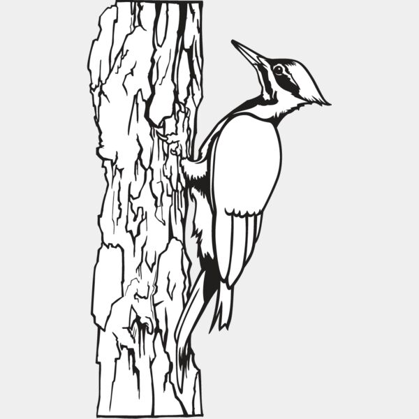 Woodpecker Thumbnail