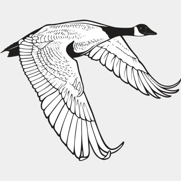 Canadian Goose Thumbnail