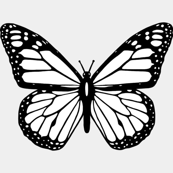 Butterfly2 Thumbnail