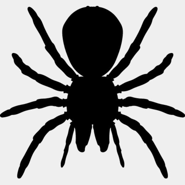 Spider Silhouette17 Thumbnail