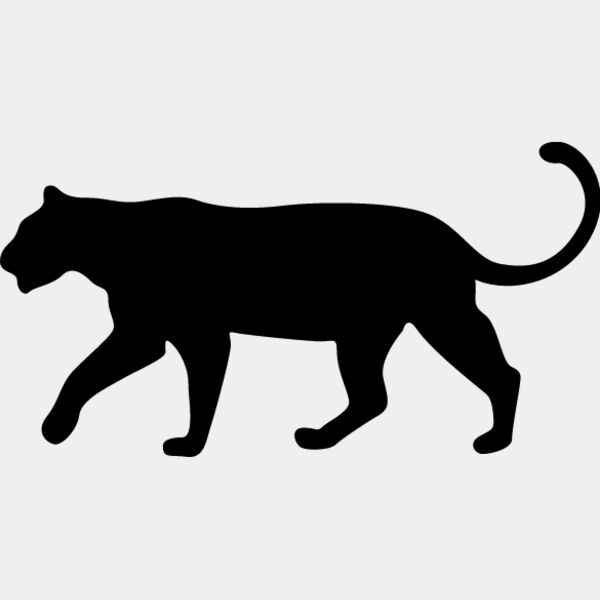 Big Cat  Tiger  Lion  Panther 5 Thumbnail