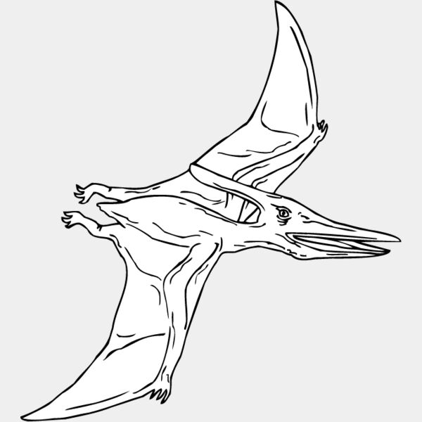 Pteradactyl2 Thumbnail