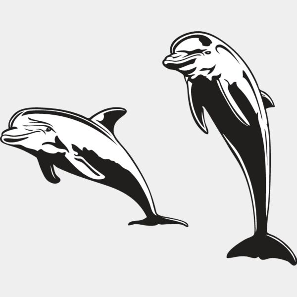 Dolphins Thumbnail