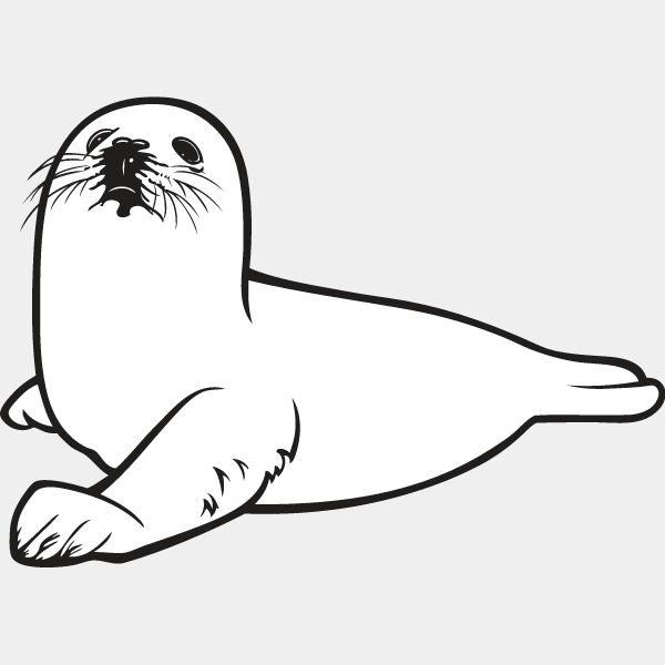 Baby Seal1 Thumbnail