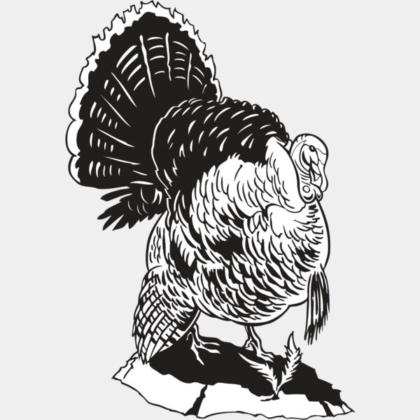 Wild Turkey9 Thumbnail