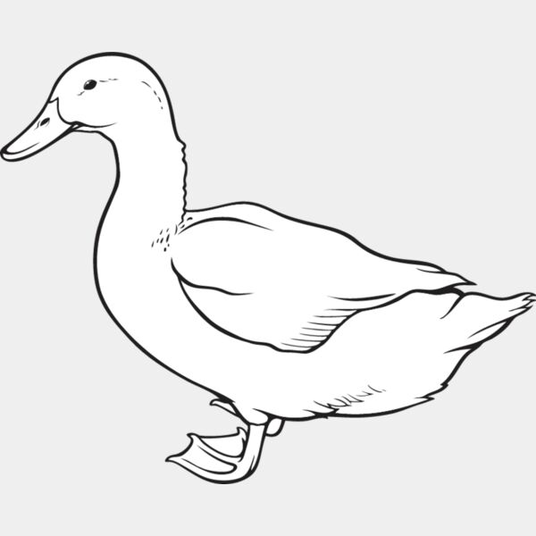 Duck4 Thumbnail