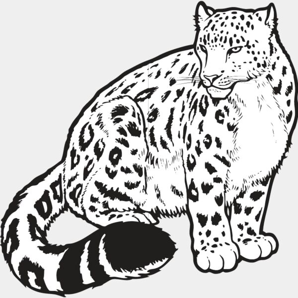 Snow Leopard Thumbnail