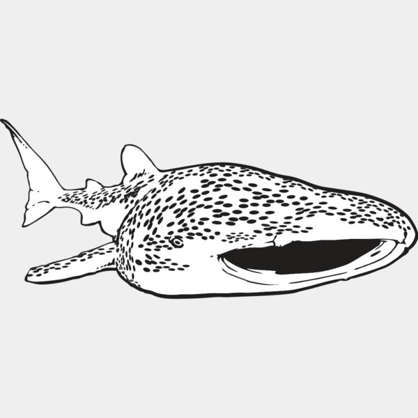 Whale Shark Thumbnail