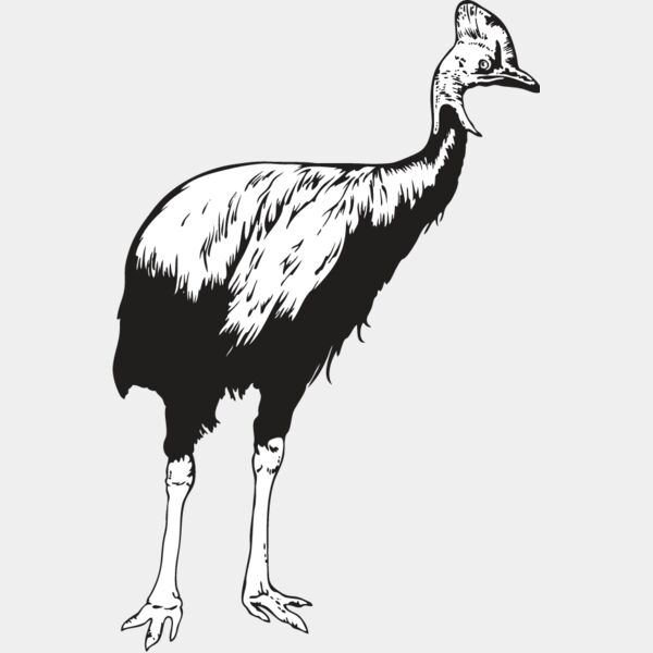 Cassowary Thumbnail