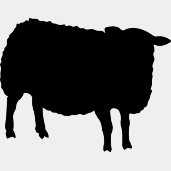 Sheep4 Thumbnail