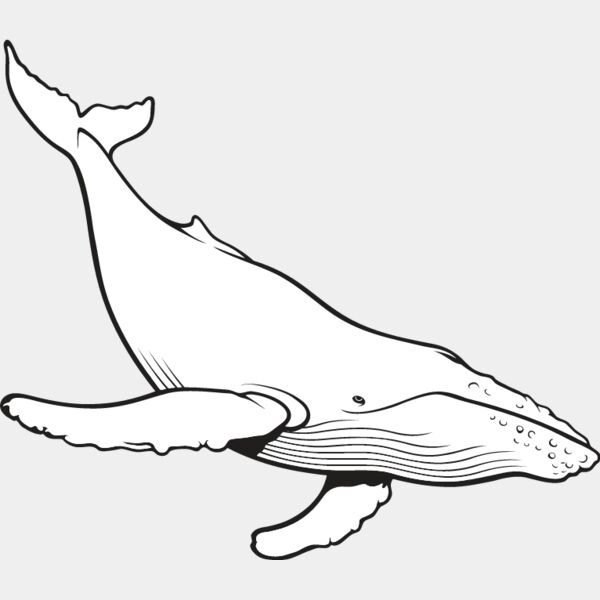 Humpback Whale Thumbnail