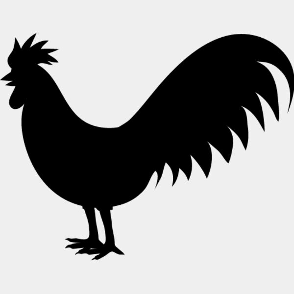 Rooster6 Thumbnail