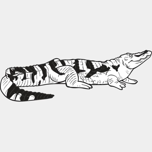 Crocodile1 Thumbnail